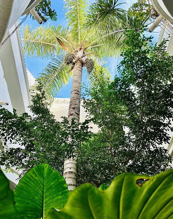 Luxury Waterfront Apartment 贝纳尔马德纳